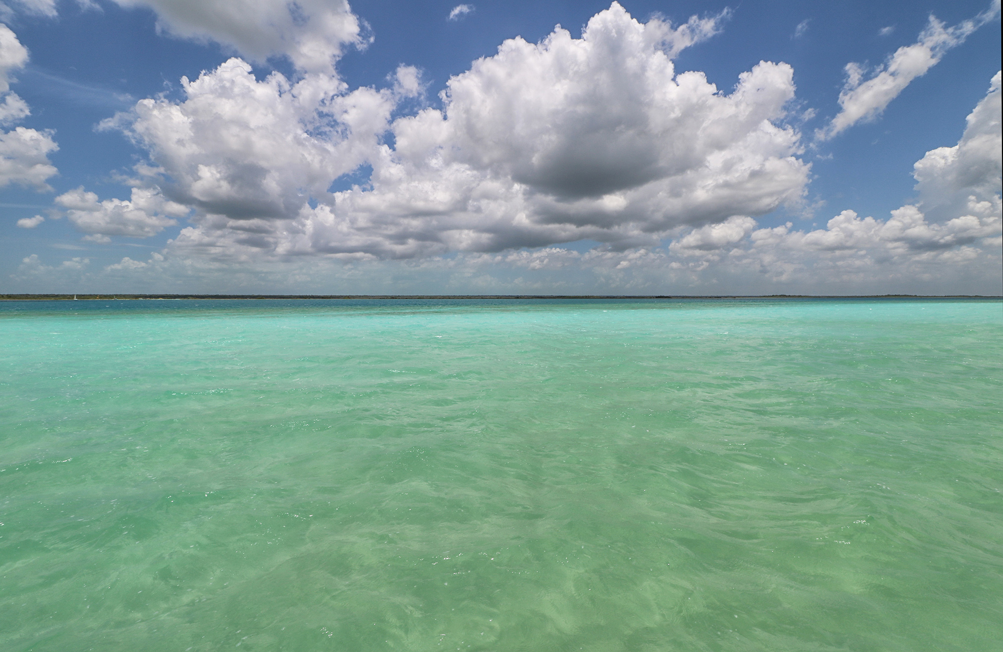 bacalar_6